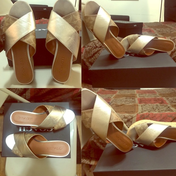 Wedge slides - Picture 1 of 1